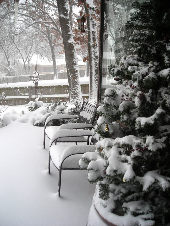 Down The Porch