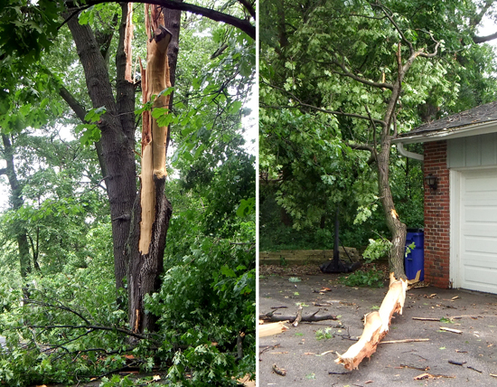 Lightning Damage at Fischers'