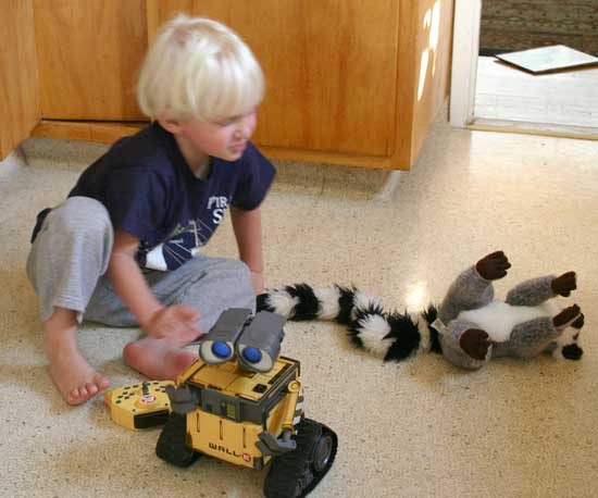 Wyatt, Wall-E, and Lemur